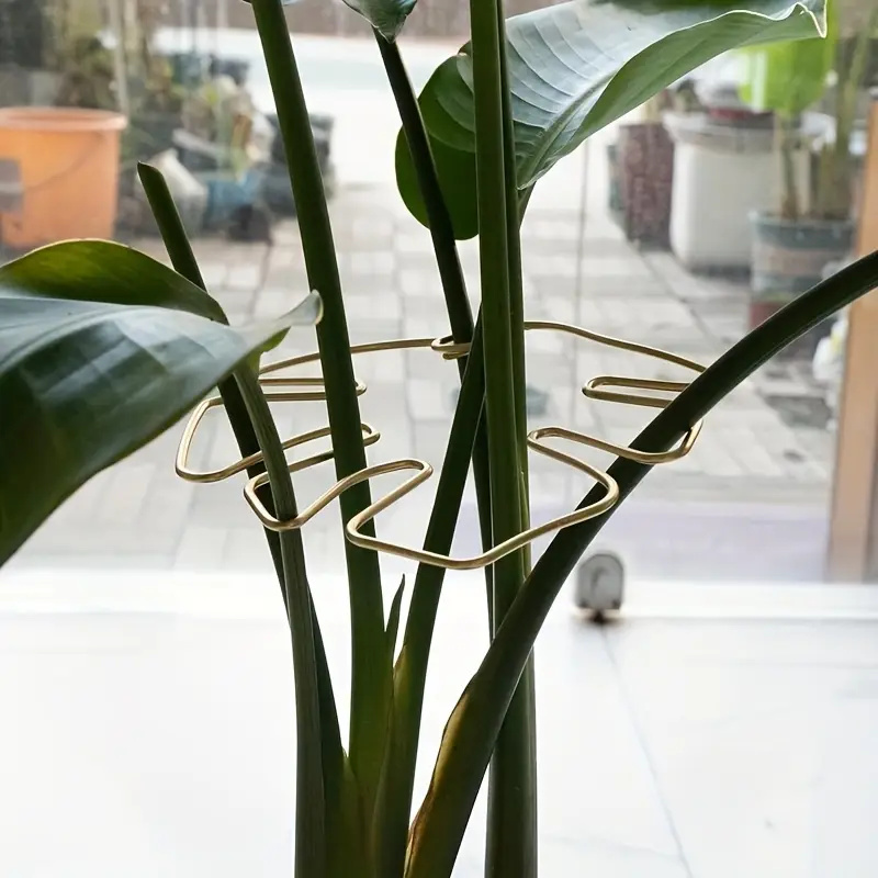 Plant Support Stake - 1 шт. Большая подвесная подставка для