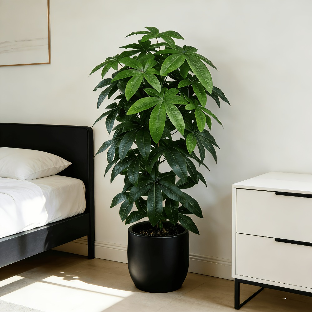 Fiddle Leaf Fig - Искусственное денежное дерево Пачира Акватика с