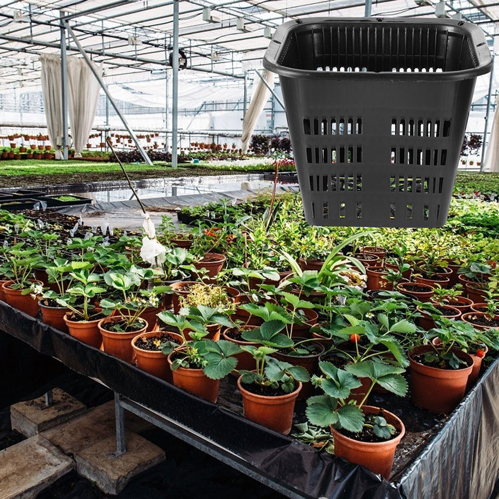 15 шт. Кашпо для контроля корн – обзор и цена Indoor Plants