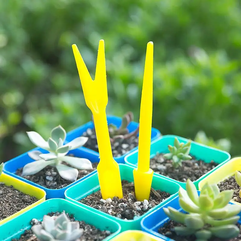 1/10 шт., посева суккулентов,  – обзор и цена Succulent Set