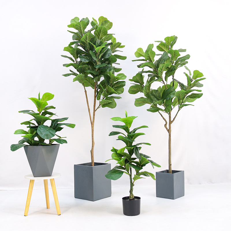 Искусственное пластиковое раст – обзор и цена Fiddle Leaf Fig
