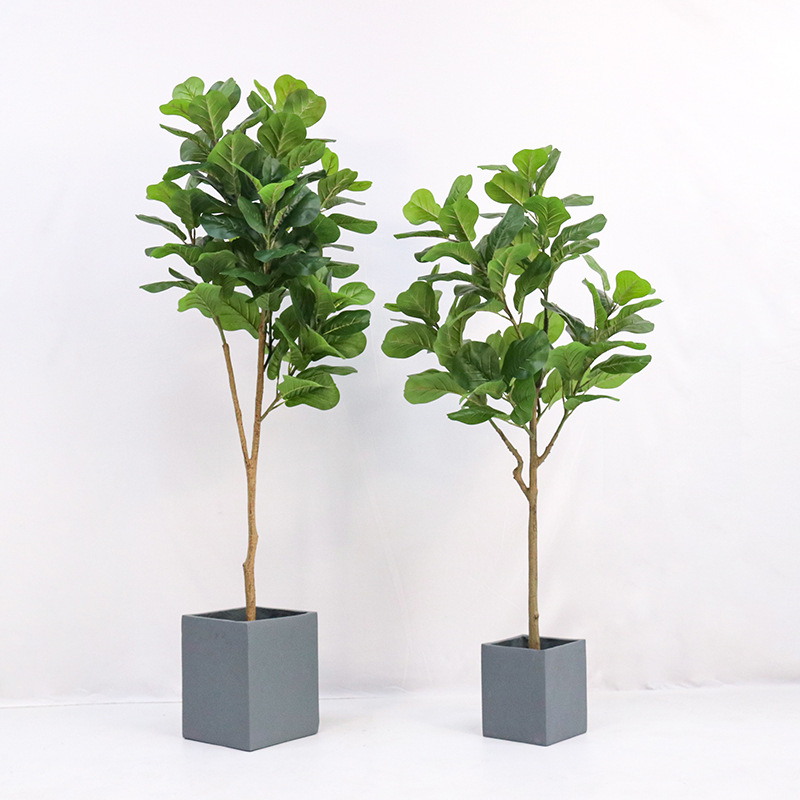 Искусственное пластиковое раст – обзор и цена Fiddle Leaf Fig