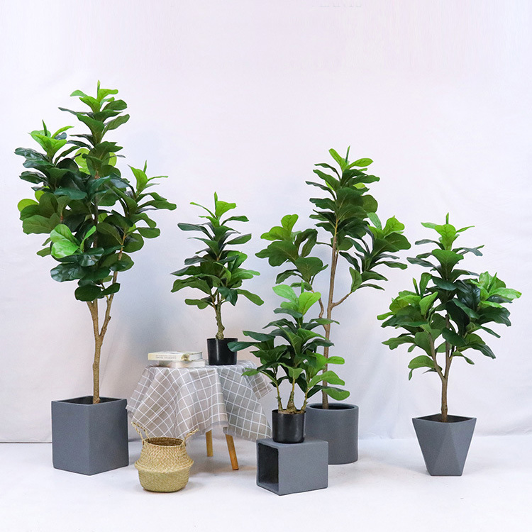 Искусственное пластиковое раст – обзор и цена Fiddle Leaf Fig