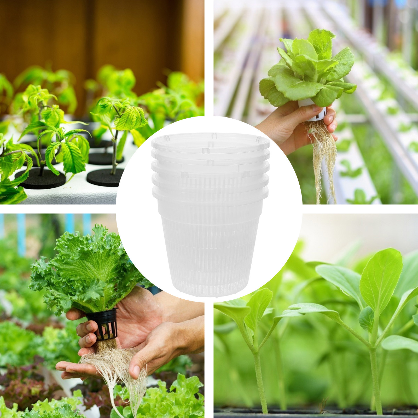 5 шт. пластиковых сетчатых гор – обзор и цена Indoor Plants