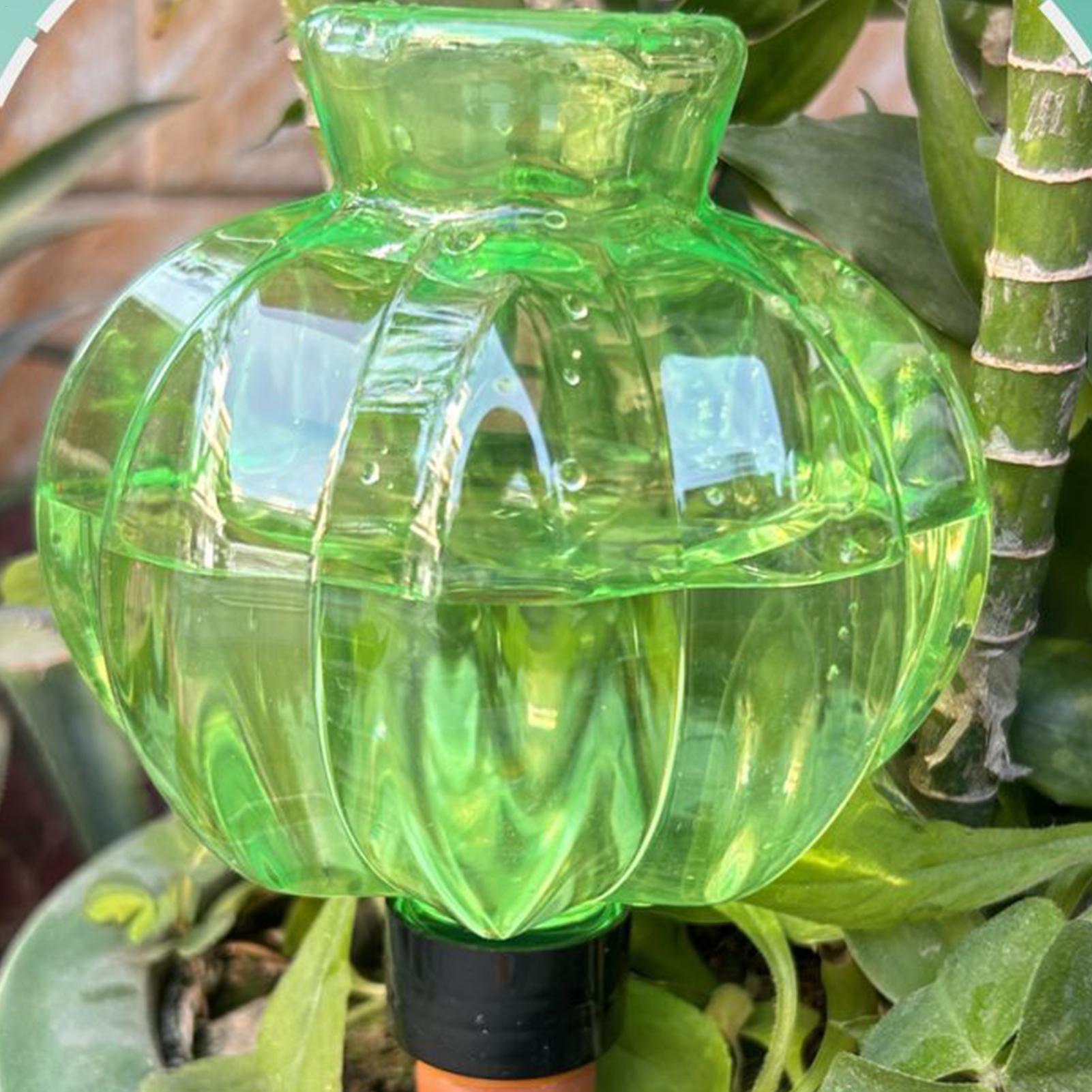 Шары-капельницы для полива рас – обзор и цена Indoor Plants