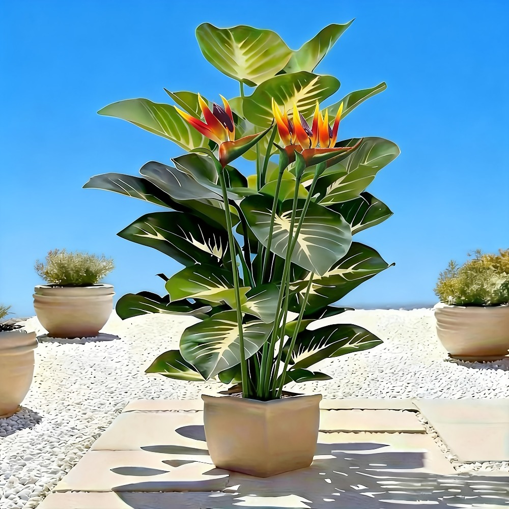 Искусственные растения: птица- – обзор и цена Fiddle Leaf Fig