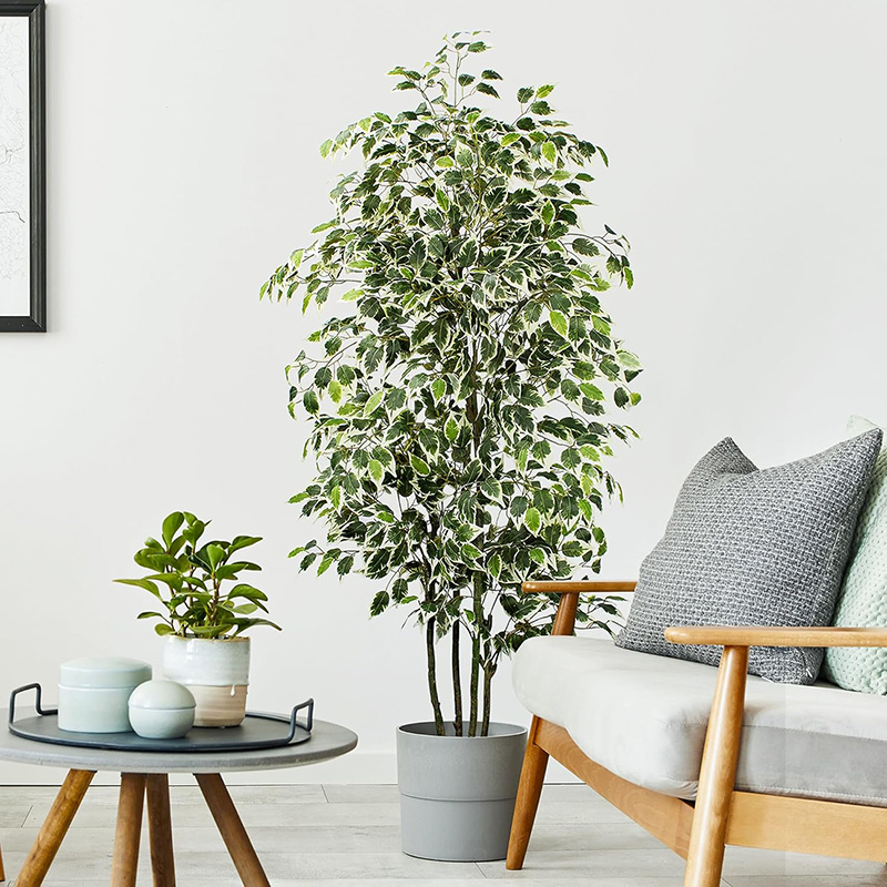70 дюймов искусственное фикусн – обзор и цена Fiddle Leaf Fig