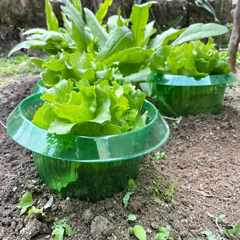 Защитные кольца для слизи раст – обзор и цена Terracotta Pot