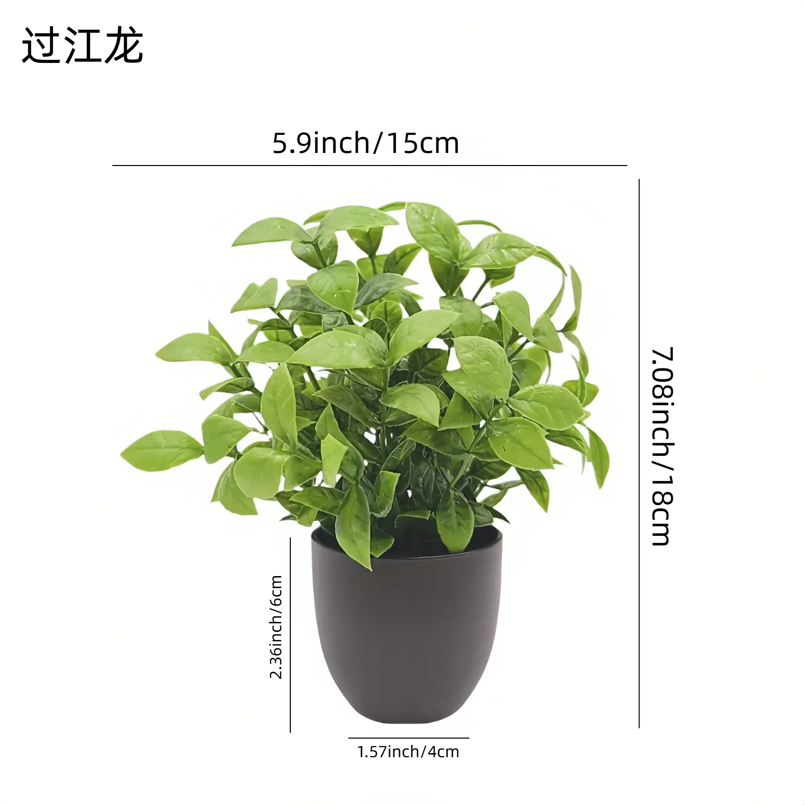 Искусственное зеленое растение – обзор и цена Succulent Set