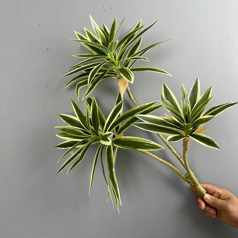 Имитация зеленых растений, 3 г – обзор и цена Snake Plant
